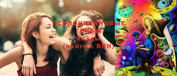 ПСИЛОЦИБИНОВЫЕ ГРИБЫ Армянск
